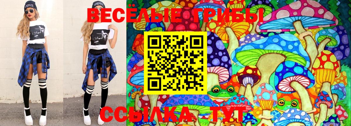 Псилоцибиновые грибы Magic Shrooms  Галлюциногенные грибы Psilocybine cubensis  Чапаевск  Вход с VPN 